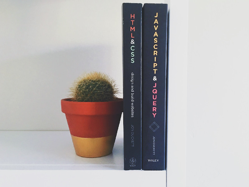 Code books on desk next to a small cacti plant